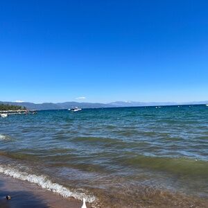 Meet your Posher, Marta